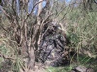 nte Fontane-01042012 108